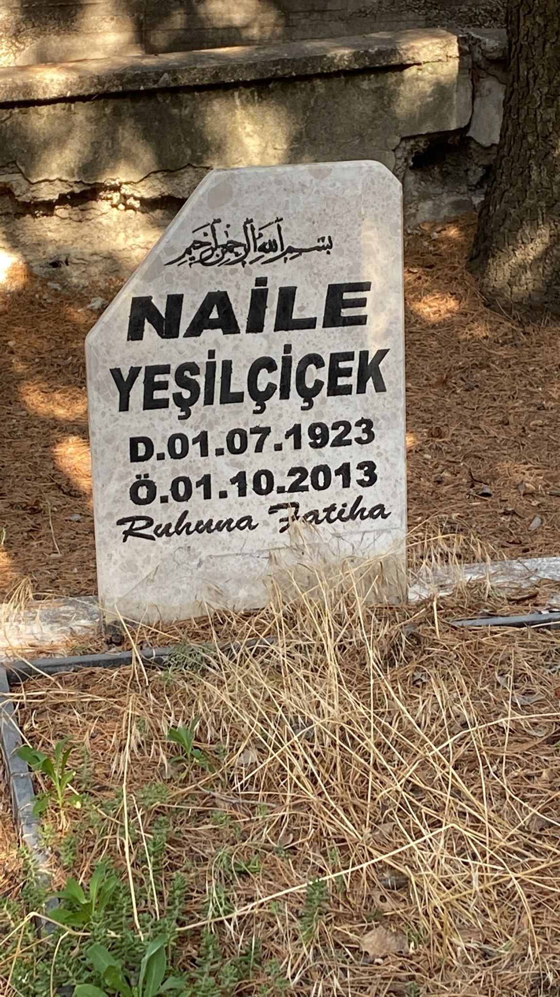 Naile YEŞILÇIÇEK