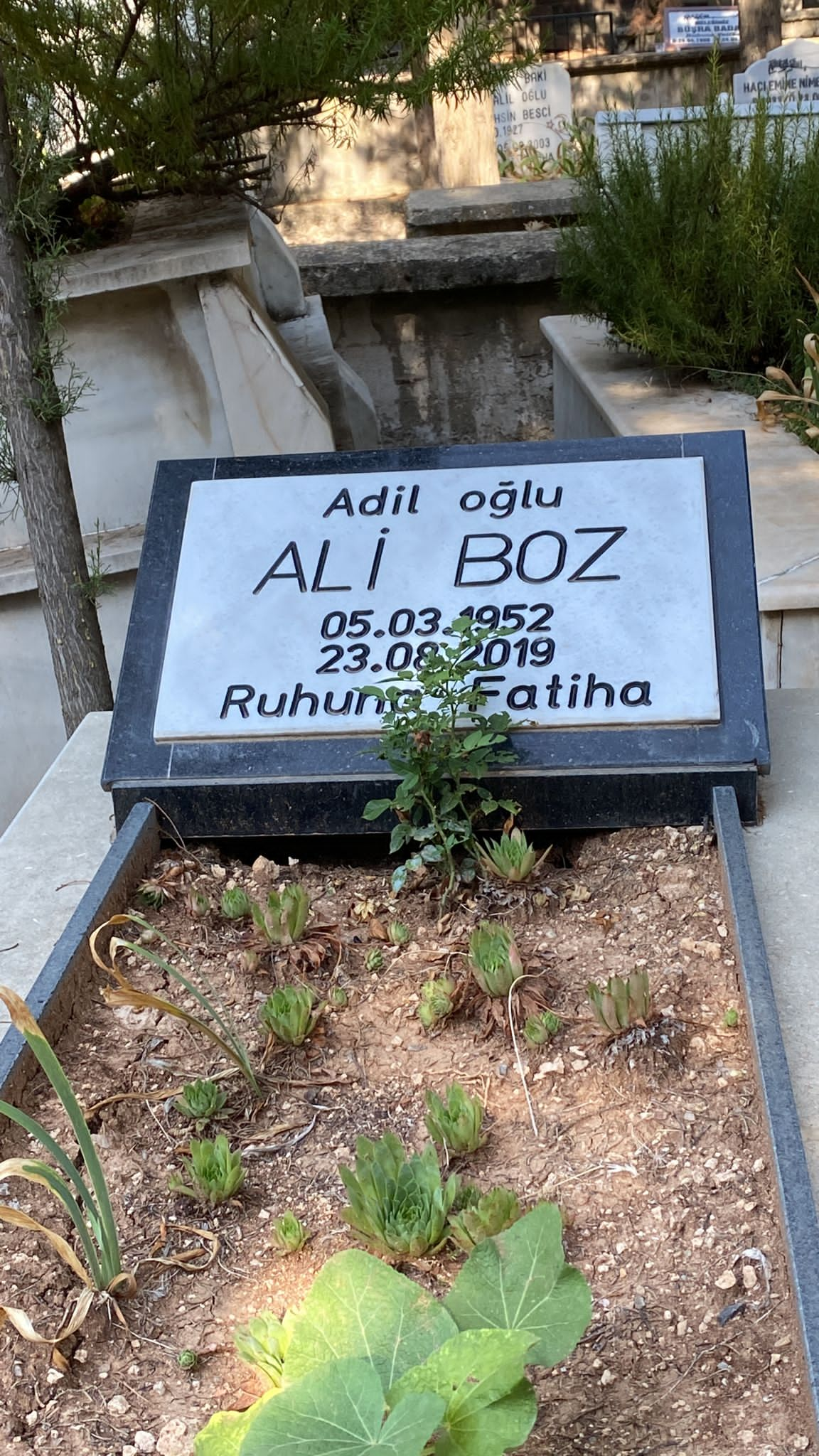 Ali BOZ