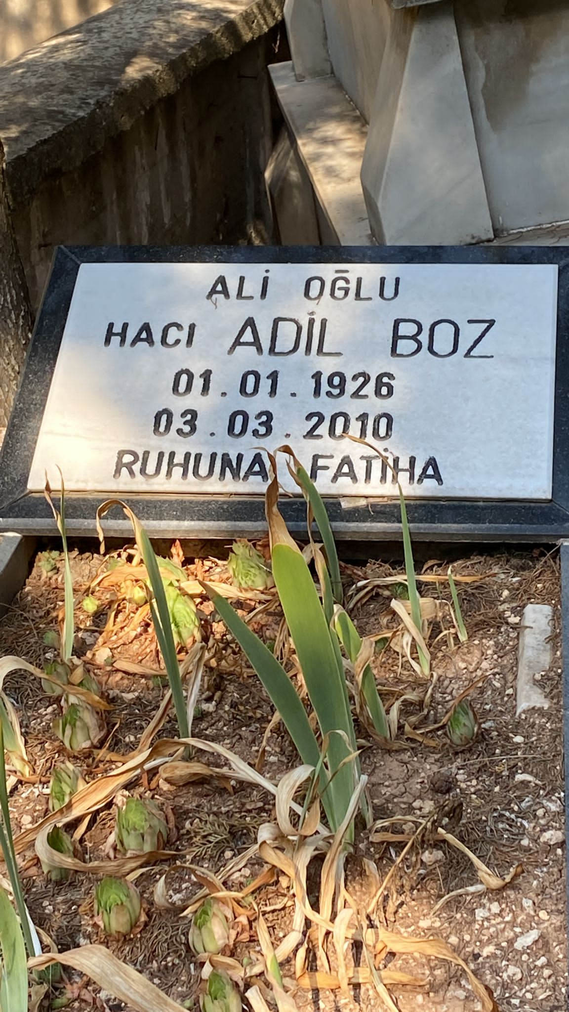 Adil BOZ