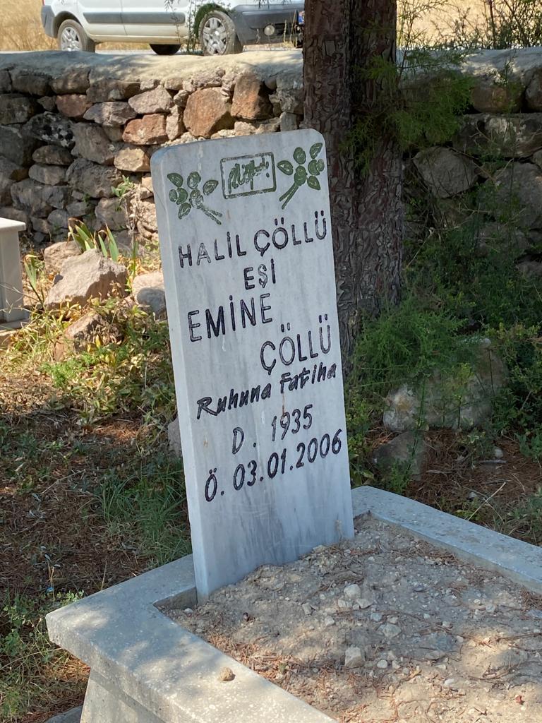 Emine ÇÖLLÜ