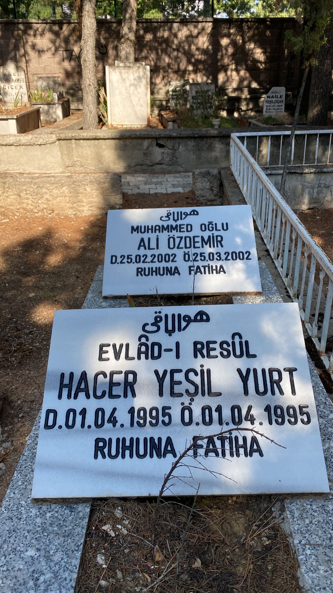 Hacer Yeşil YURT