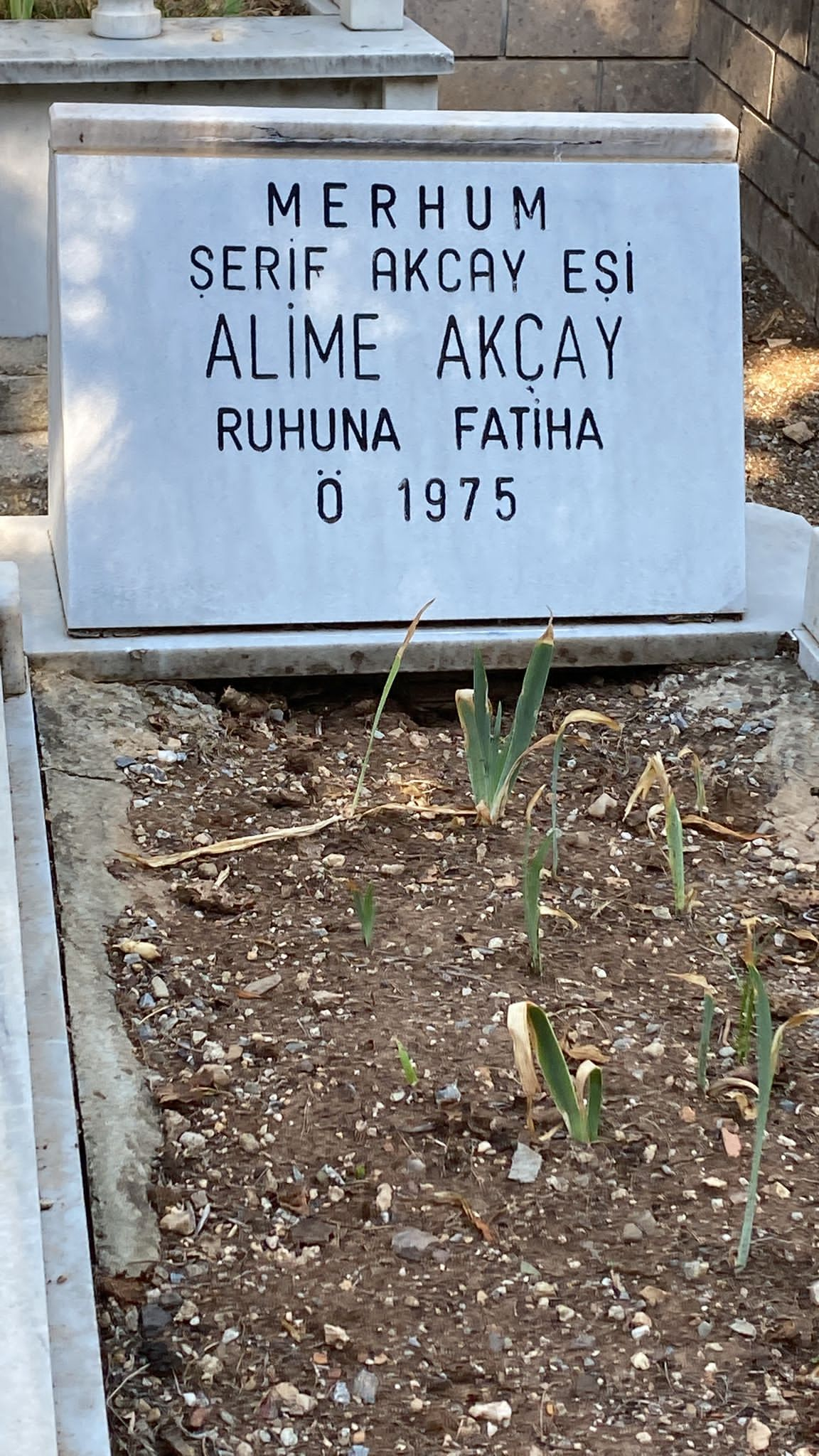 Alime AKÇAY