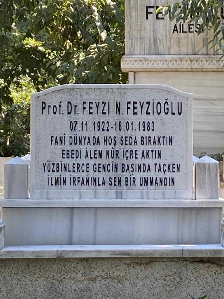 Fevzi N FEVZIOĞLU