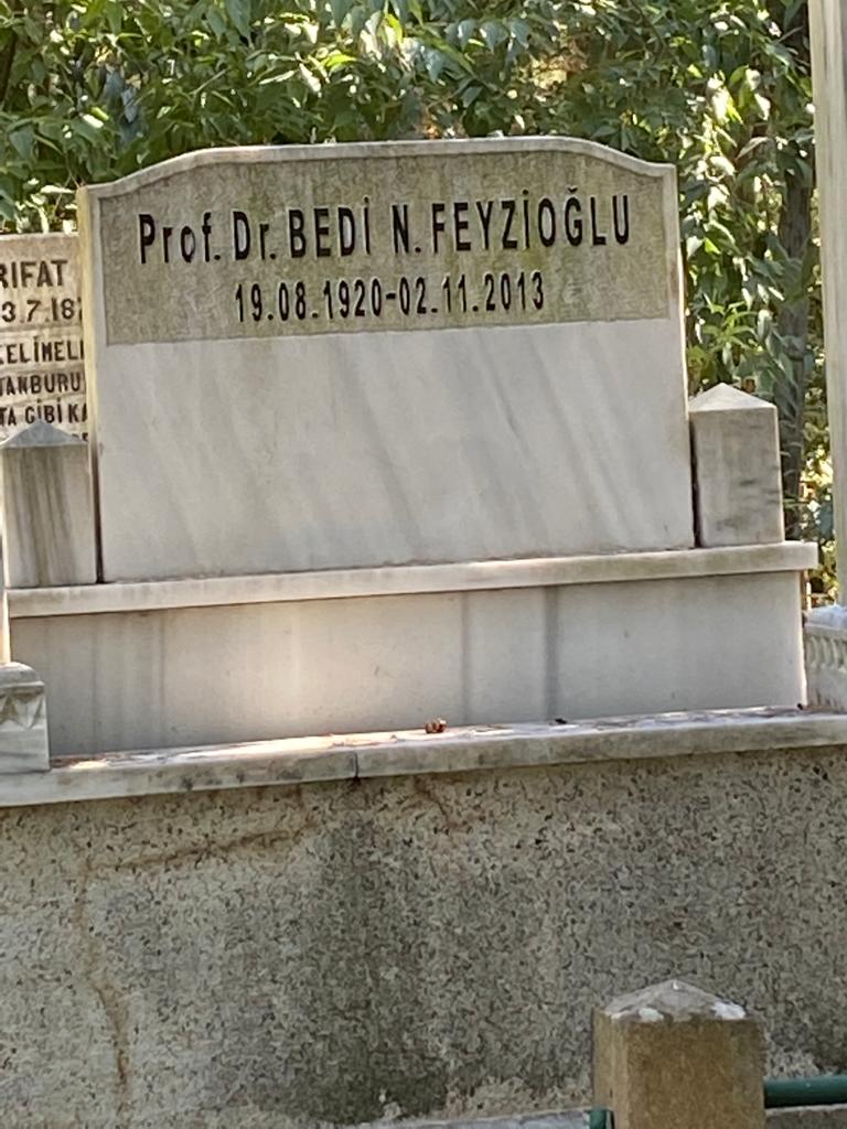 Bedi N FEVZIOĞLU