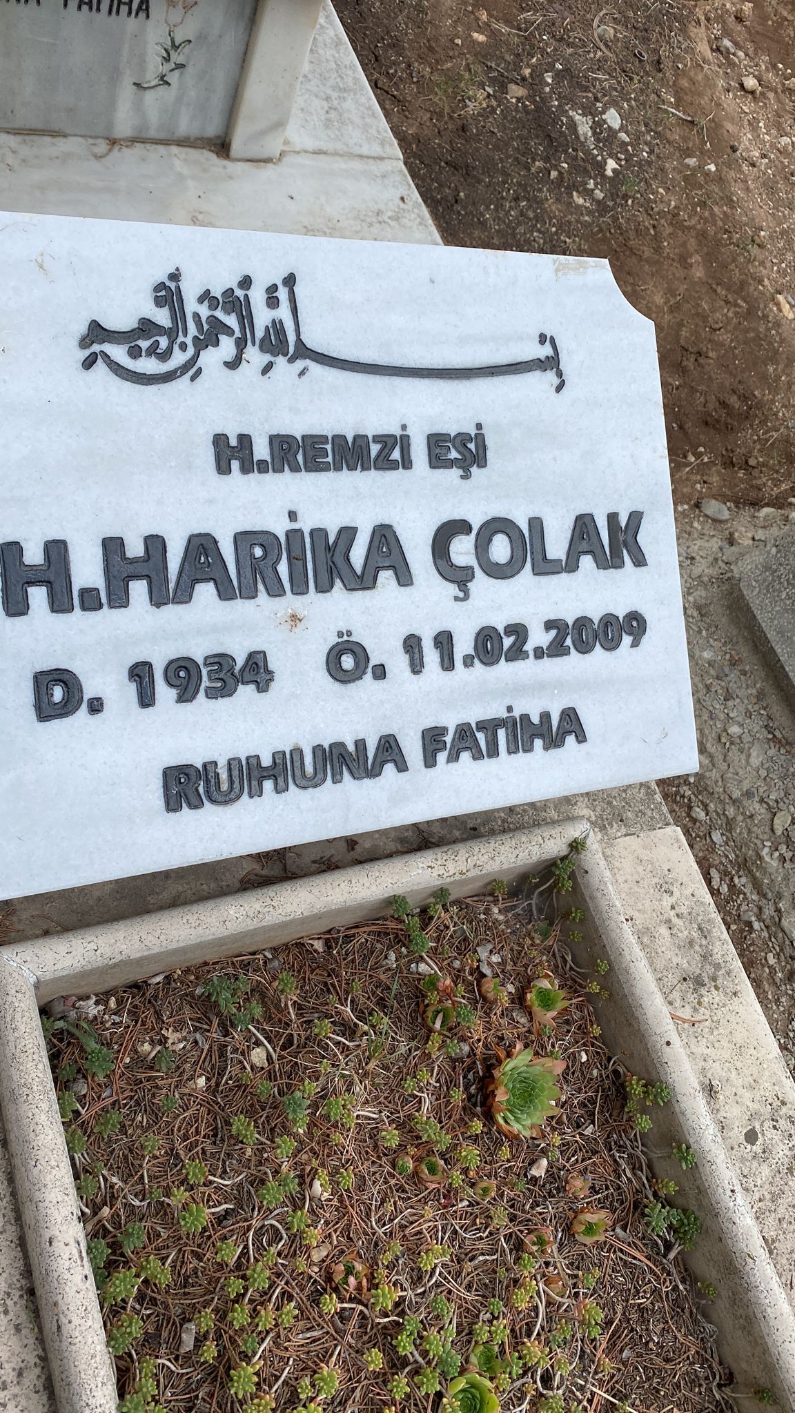 Harika ÇOLAK