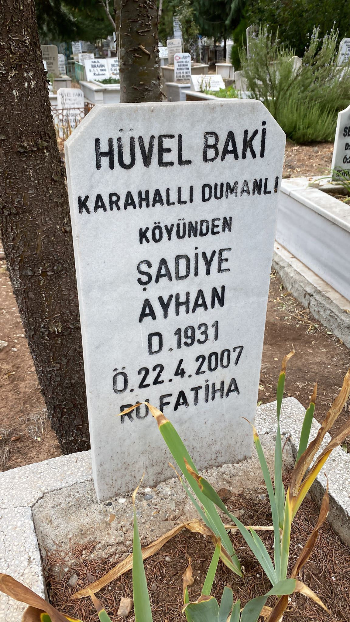 Şadiye AYHAN