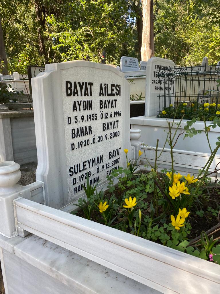 Aydın BAYAT