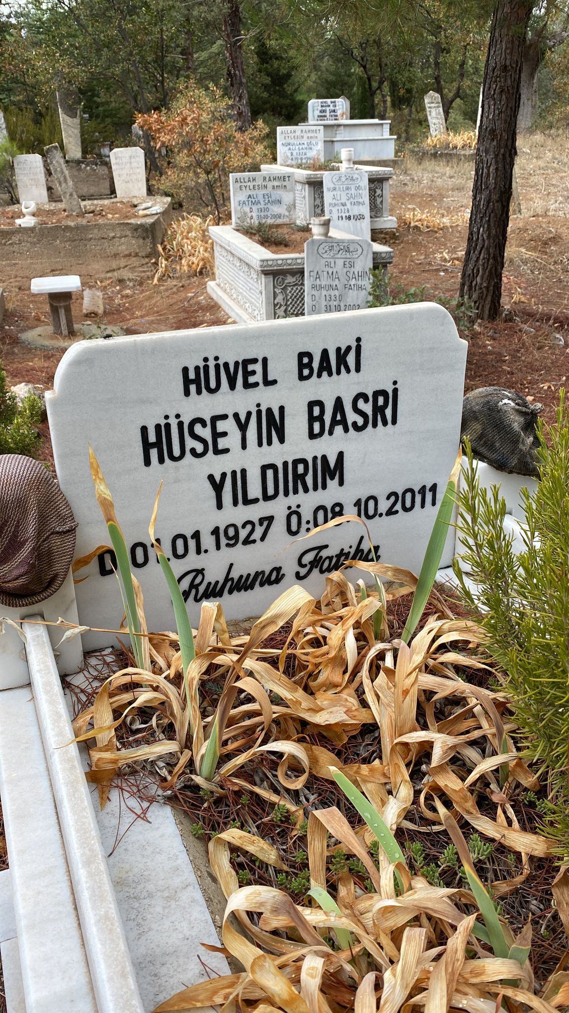 Hüseyin Basri YILDIRIM