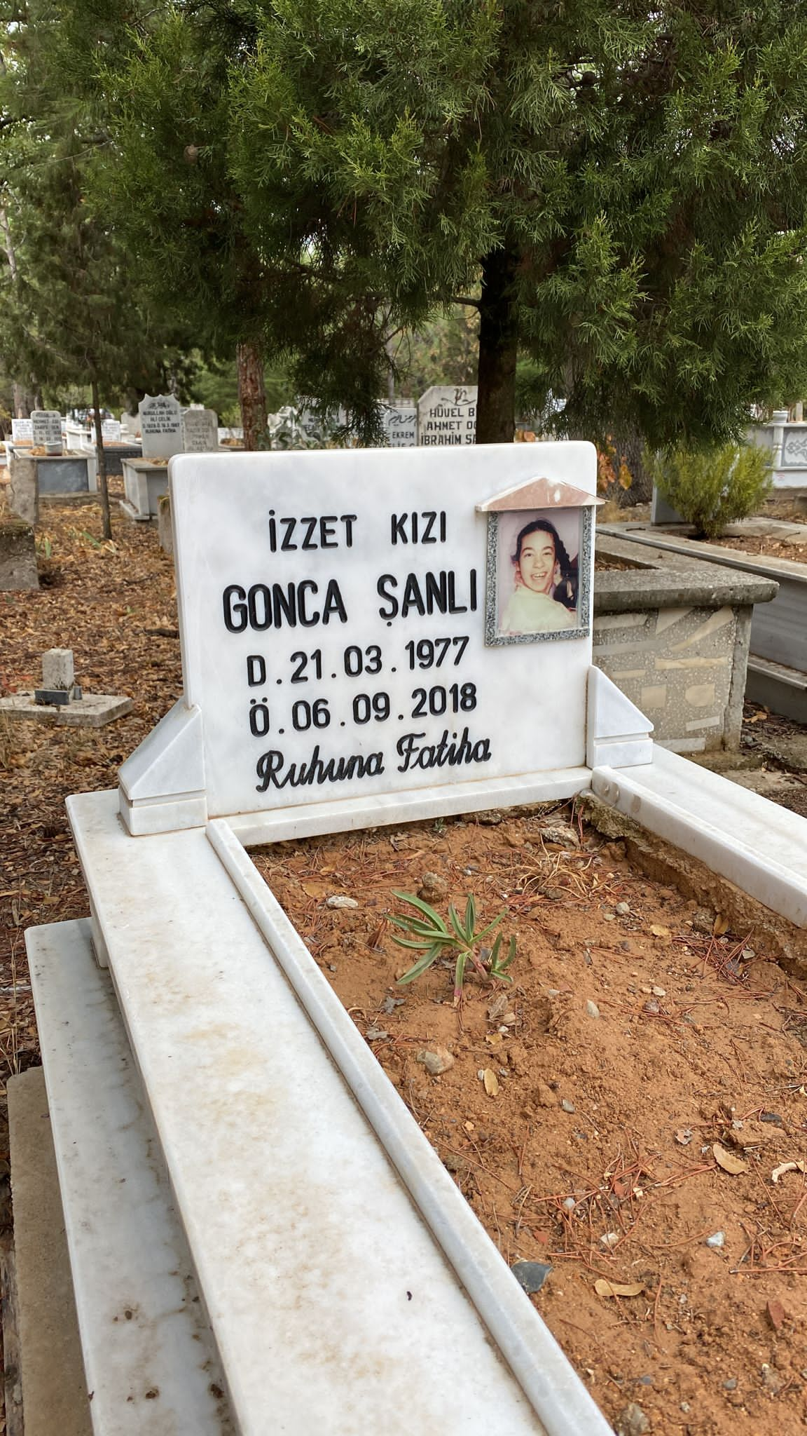 Gonca ŞANLI