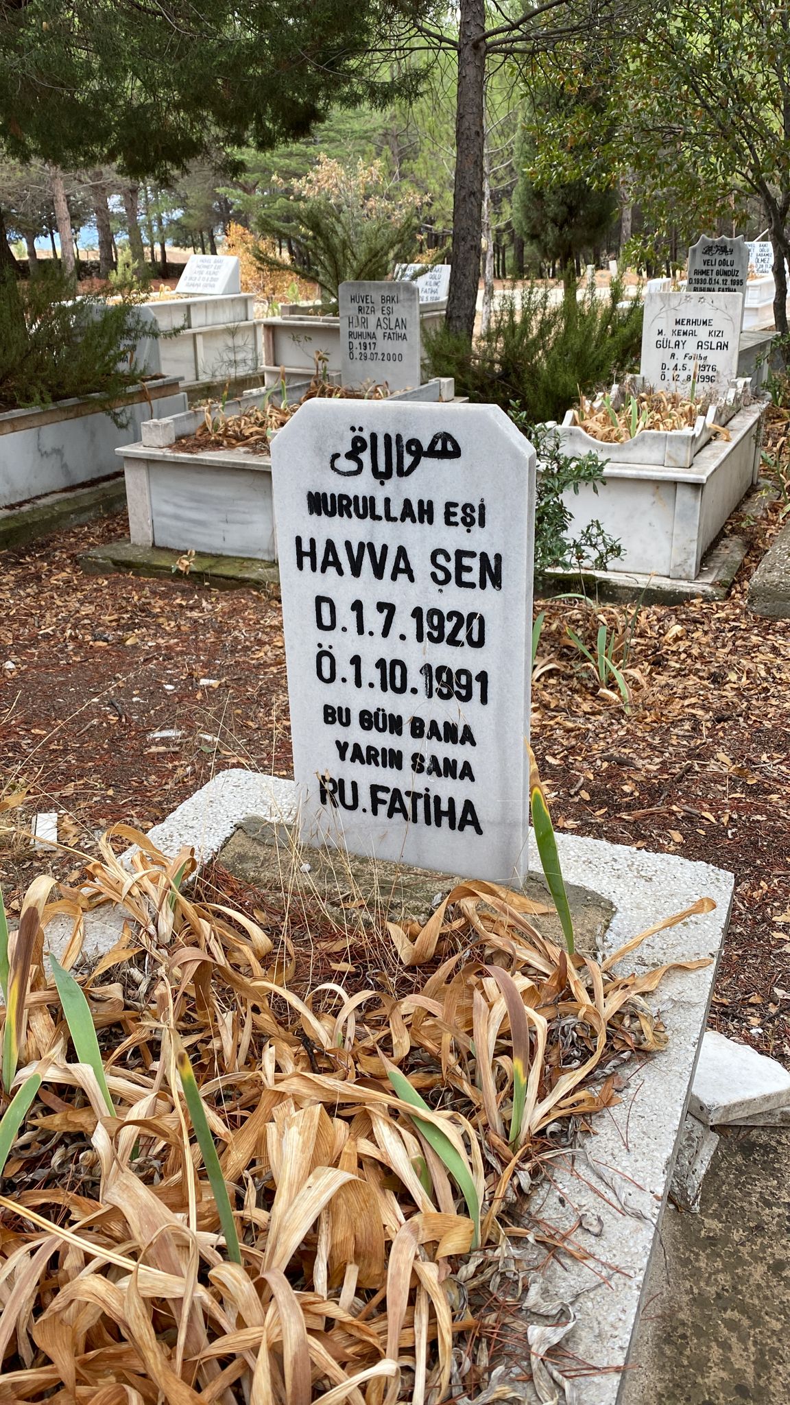 Havva ŞEN